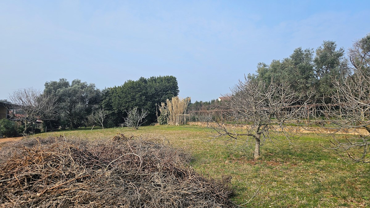 Immobiliare Istria, vendo terreno edificabile, vicino al mare, Umago