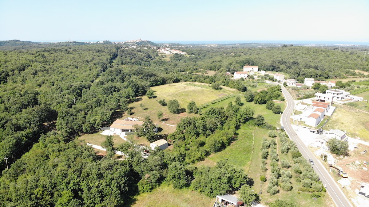 Immobiliare Istria, vendo terreno edificabile, dintorni Buje-Buie