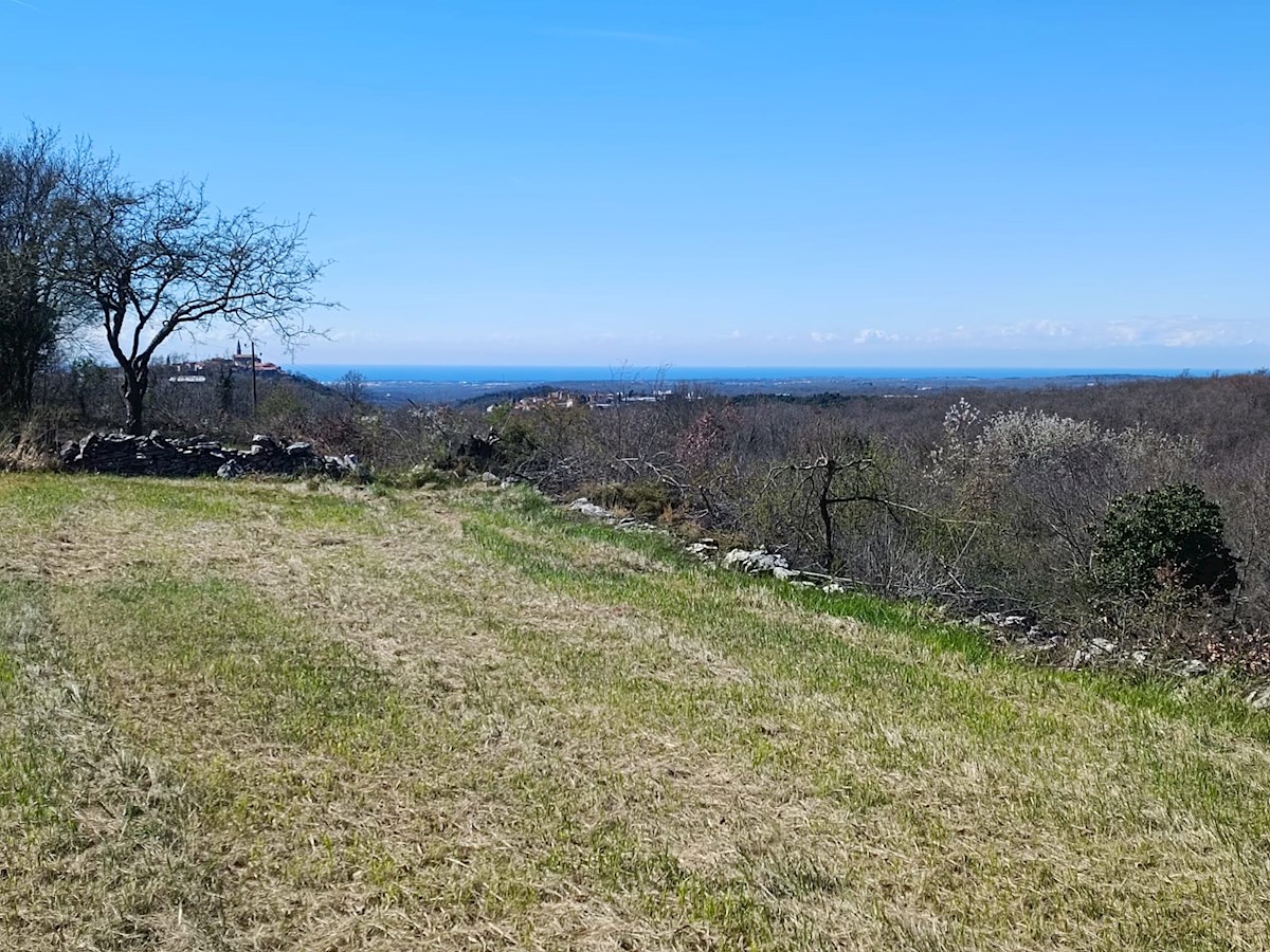 Immobiliare Istria, vendo terreno edificabile, dintorni Buje-Buie