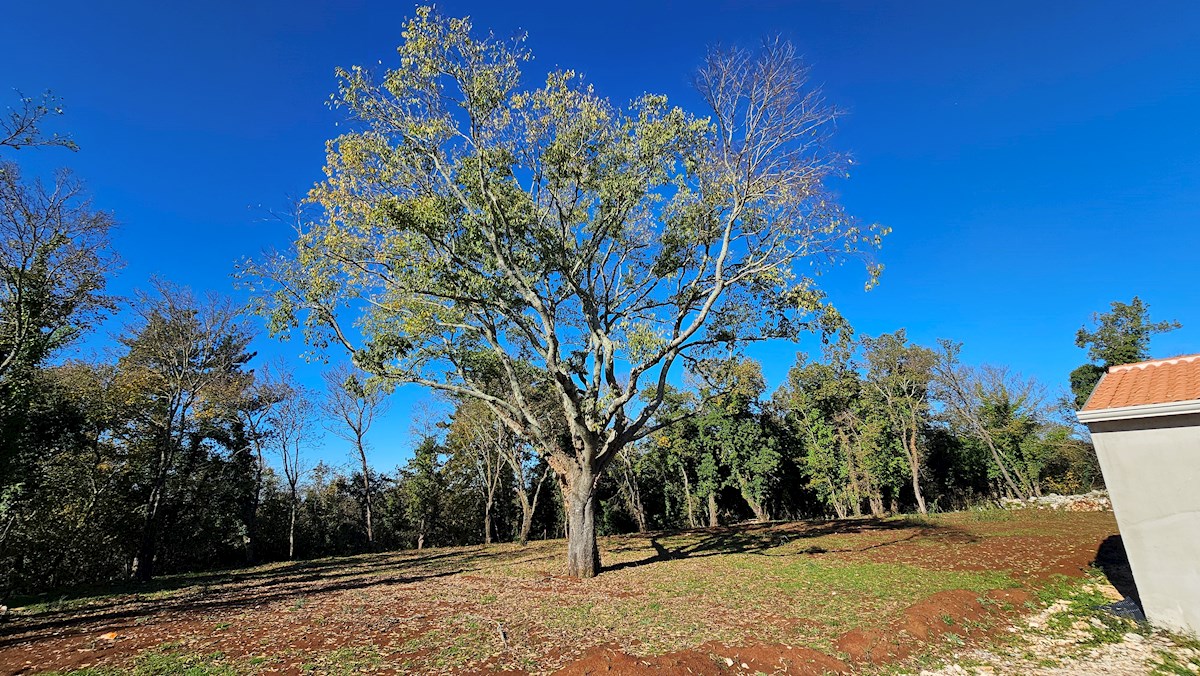 Immobili Istria, vendo casa con piscina, dintorni Buje-Buie