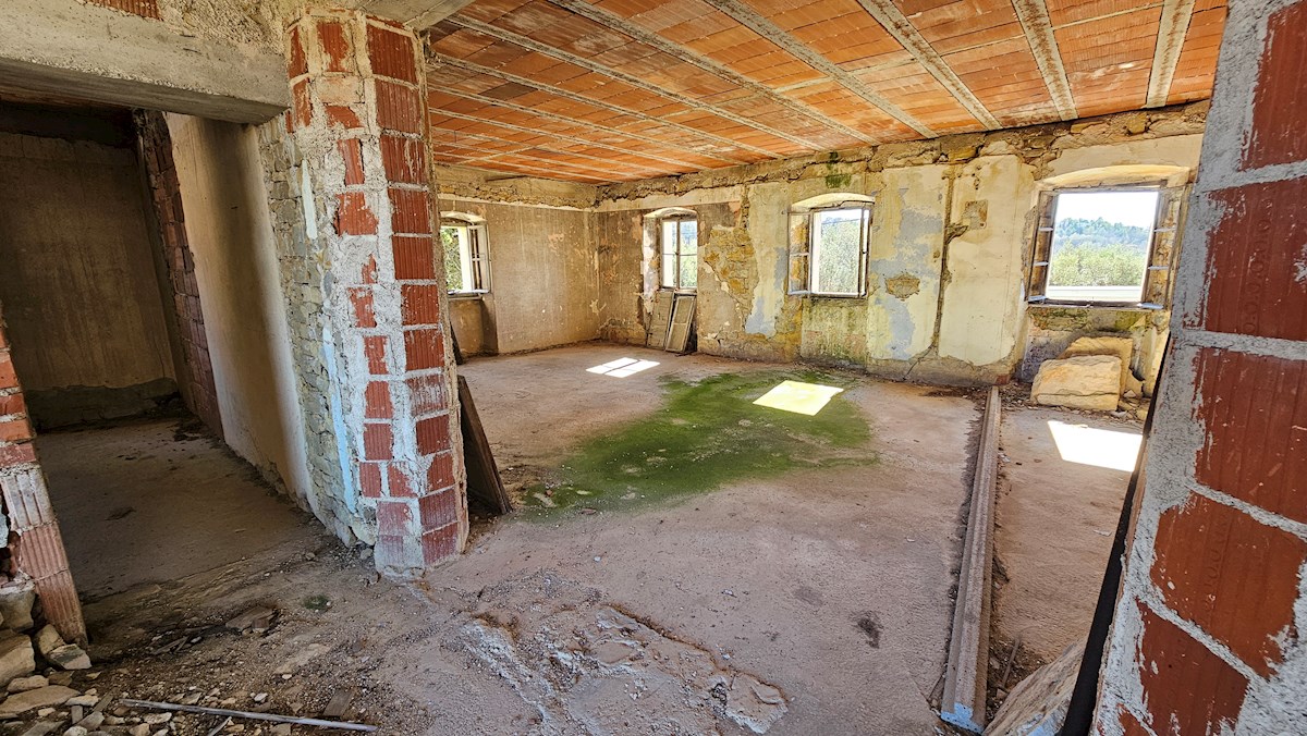 Immobili Istria, vendo casa di pietra, dintorni Buje-Buie