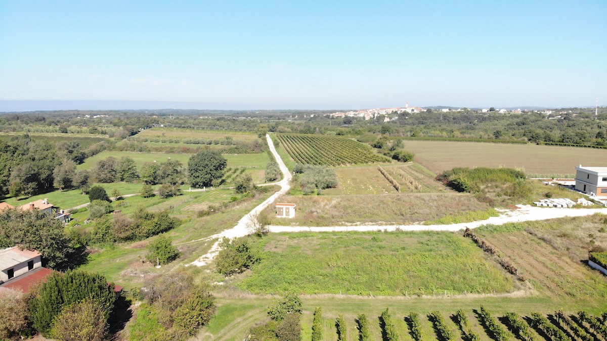 Immobili Istria, vendo terreno edificabile, dintorni Novigrad