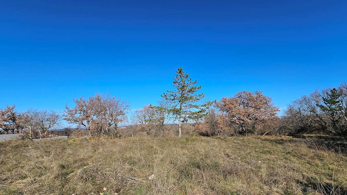 Immobiliare Istria, vendo terreno edificabile, dintorni Buje-Buie