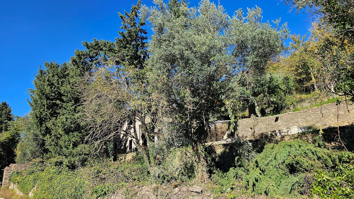 Esclusiva Casa in Pietra vicino a Grisignana