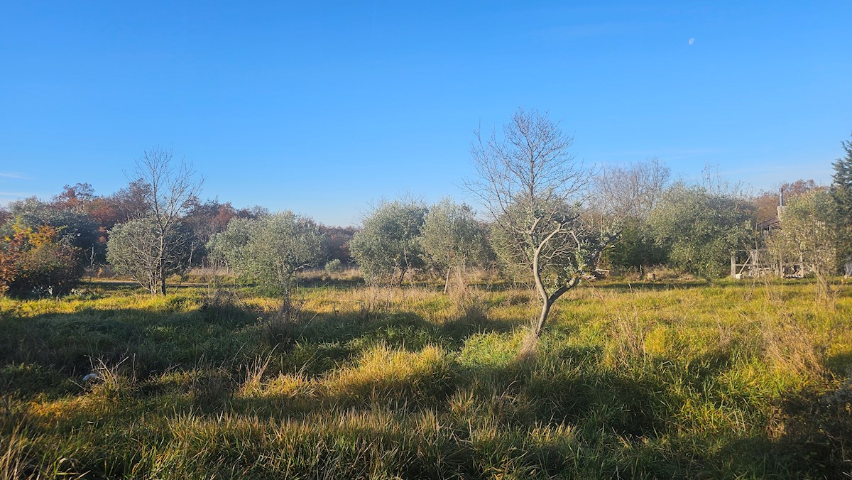 Progetto Moderno in Zona Tranquilla vicino a Buie – Terreno Edificabile con Progetto Concettuale