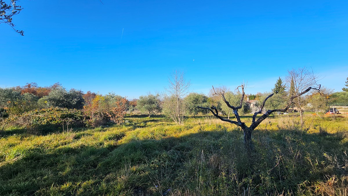 Progetto Moderno in Zona Tranquilla vicino a Buie – Terreno Edificabile con Progetto Concettuale