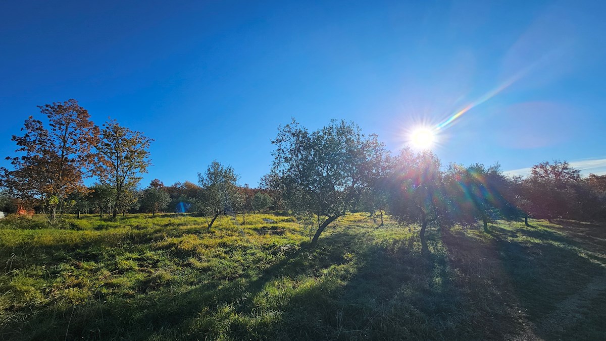 Progetto Moderno in Zona Tranquilla vicino a Buie – Terreno Edificabile con Progetto Concettuale