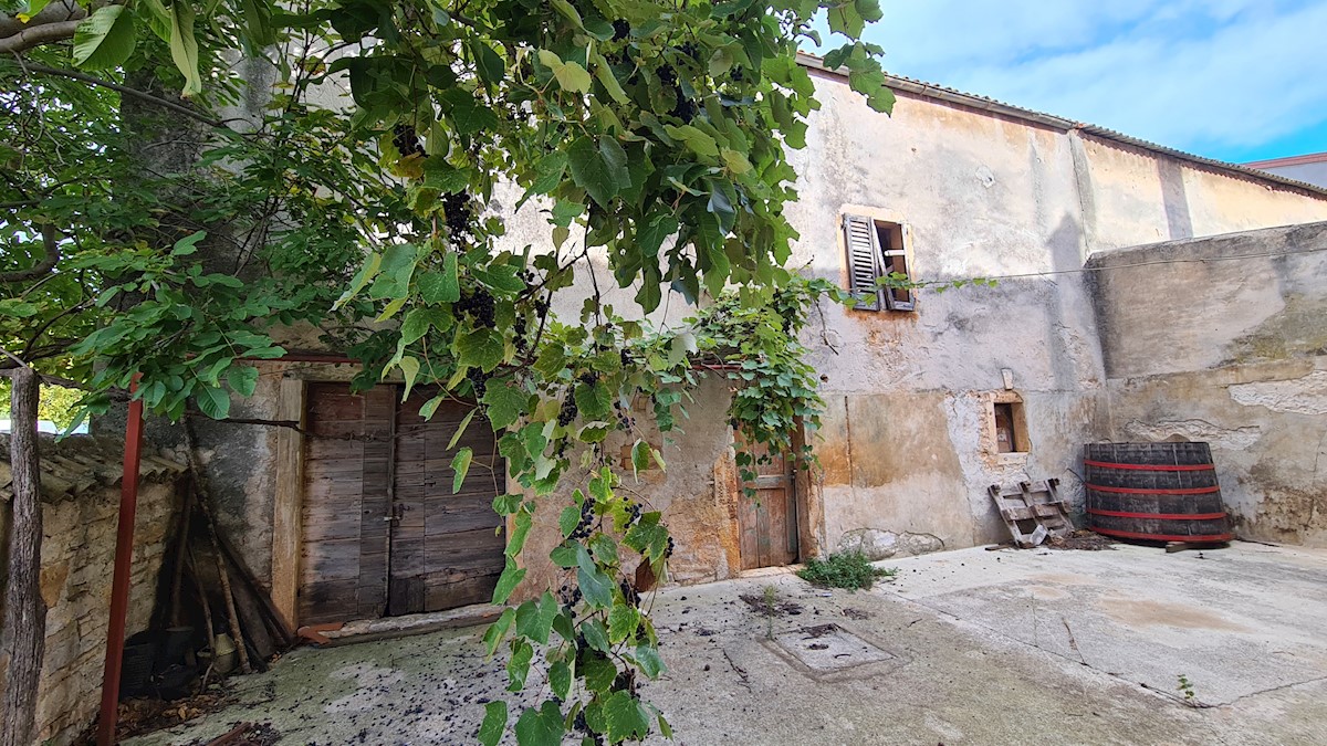 Immobili Istria, vendo case con giardino, Novigrad, dintorni Novigrad