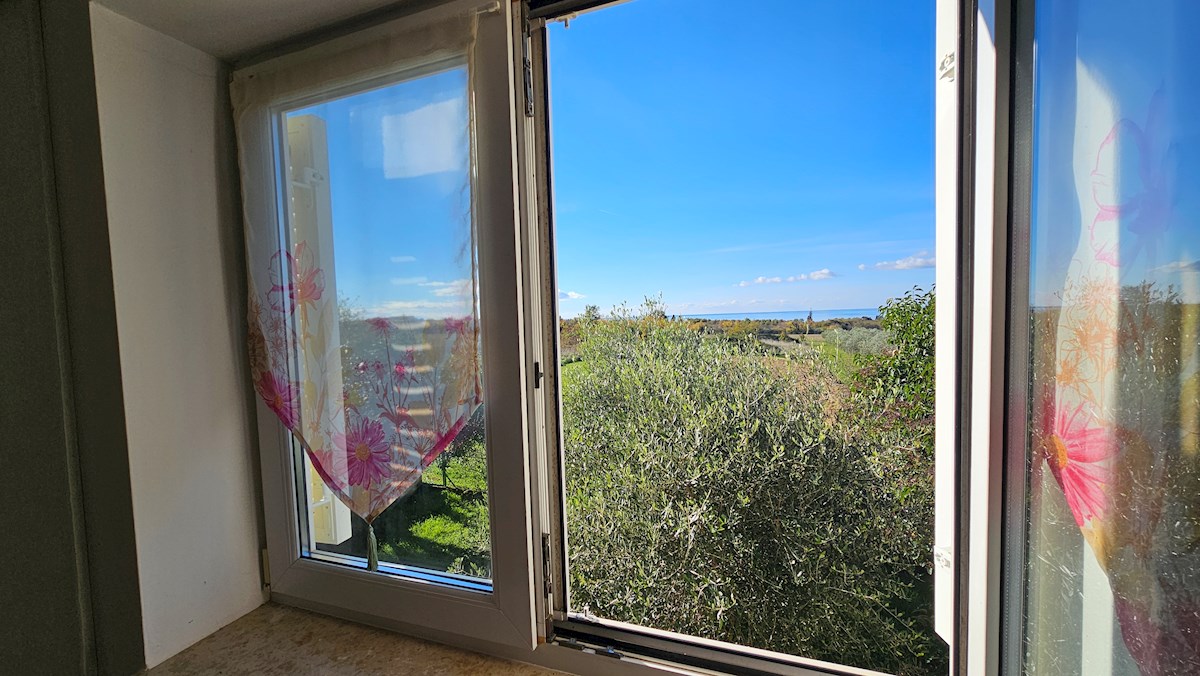 Immobili Istria, vendo appartamento, dintorni Novigrad-Cittanova