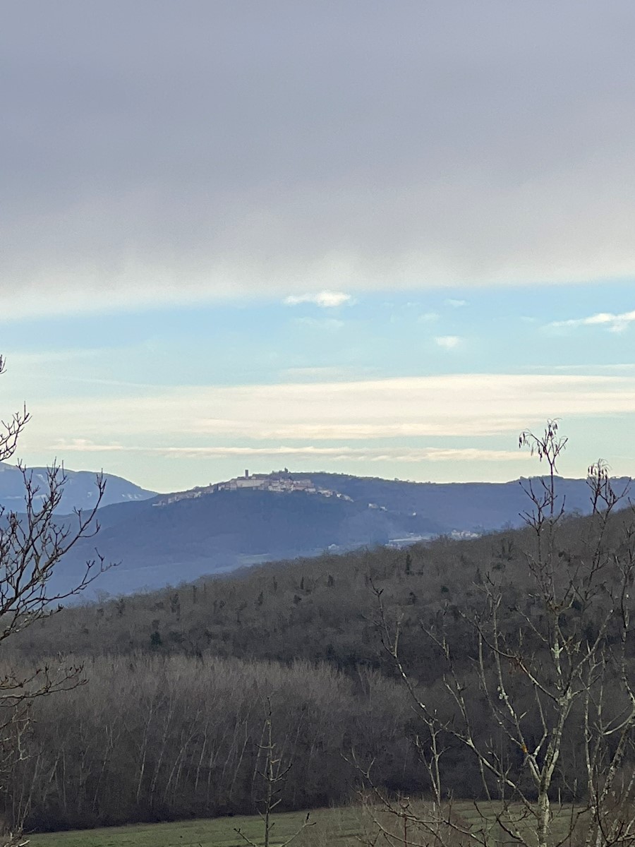 Immobili Istria, vendo terreno agricolo, dintorni Buje