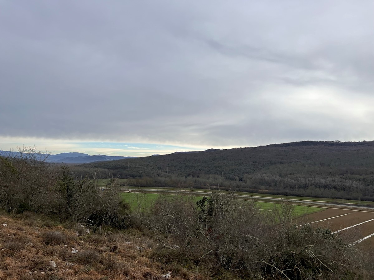 Immobili Istria, vendo terreno agricolo, dintorni Buje