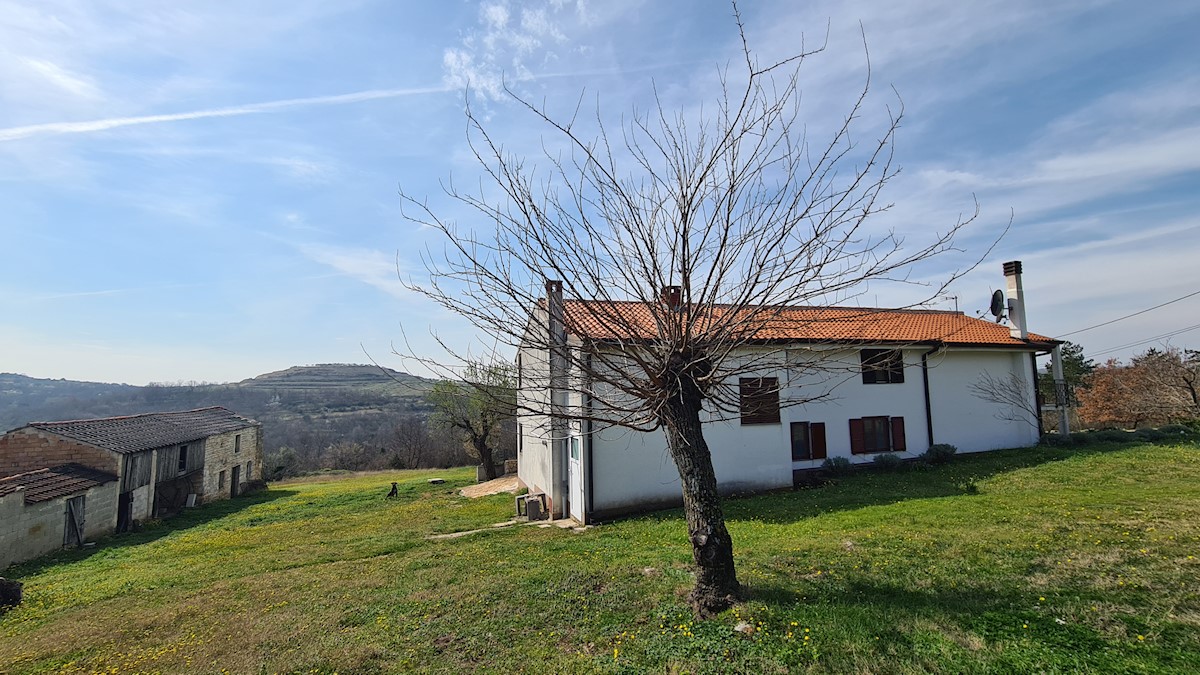 Immobili Istria, vendesi casa con ampio giardino, dintorni Buie