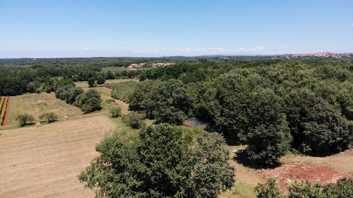 Immobiliare Istria, vendo terreno edificabile, dintorni Novigrad