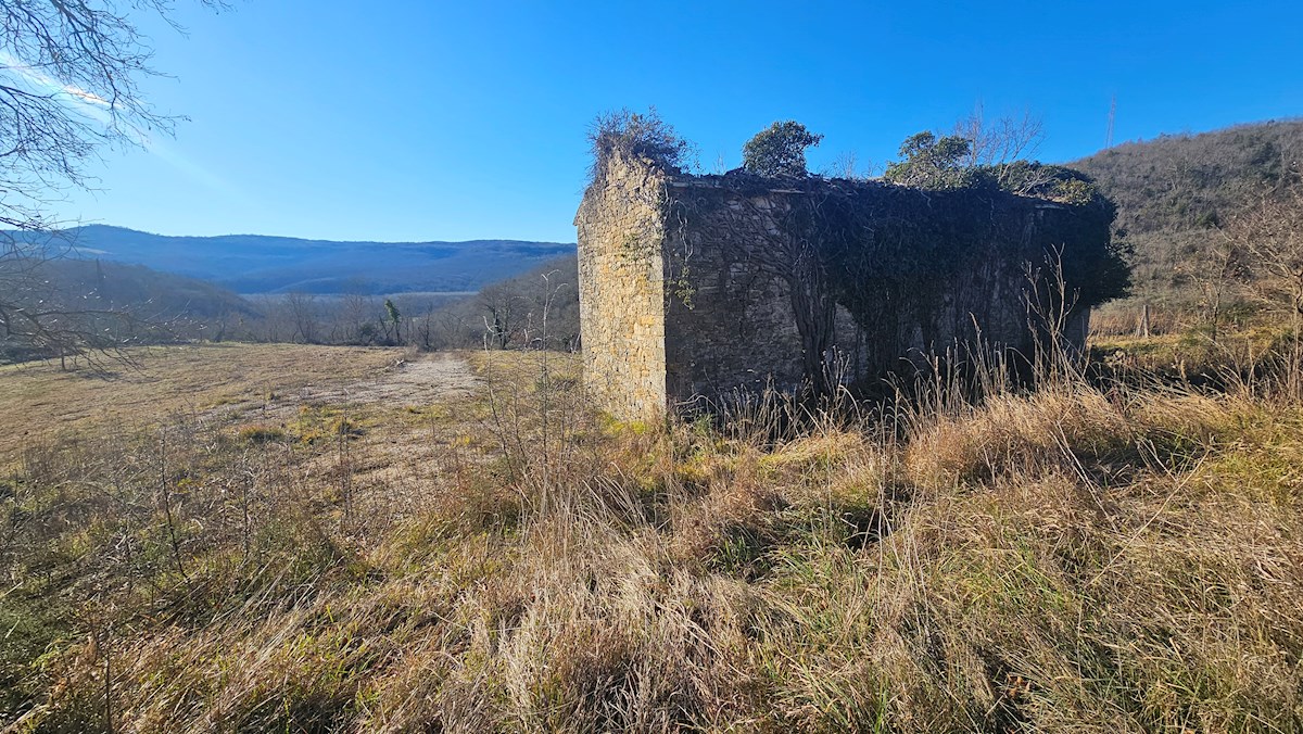 Immobili Istria, vendesi grande tenuta in collina, dintorni Buje - Buie