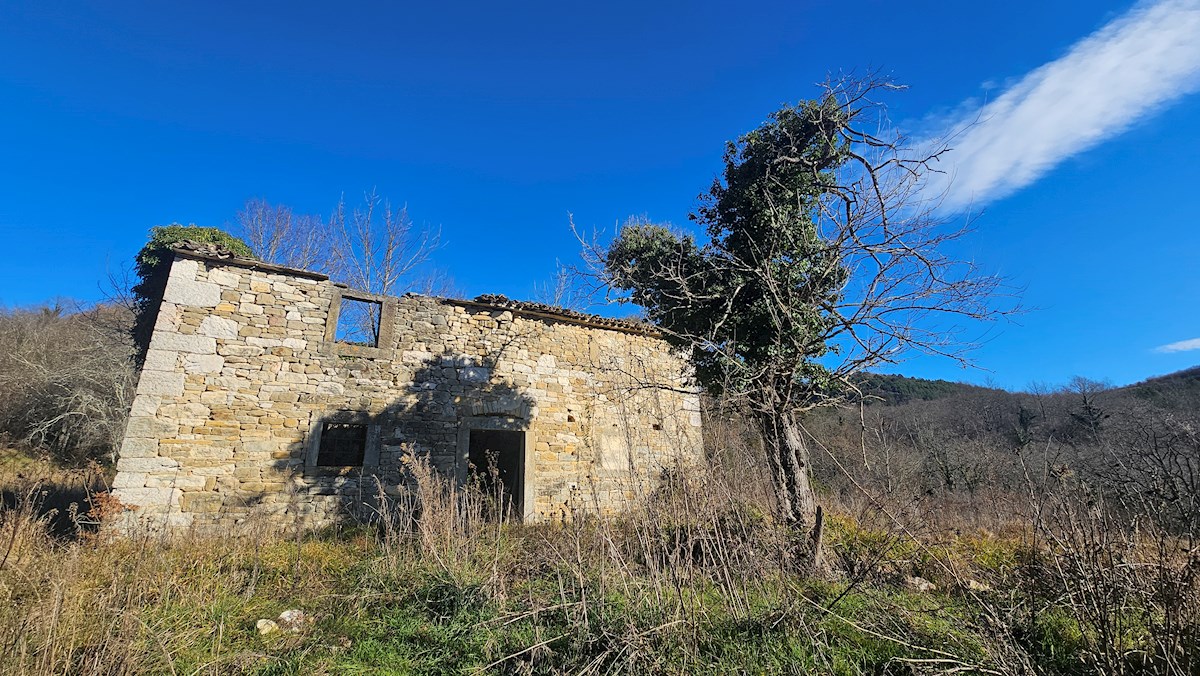 Immobili Istria, vendesi grande tenuta in collina, dintorni Buje - Buie