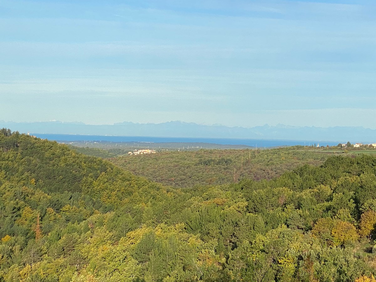 Immobiliare Istria, vendo terreno edificabile con vista mare, dintorni Buje-Buie