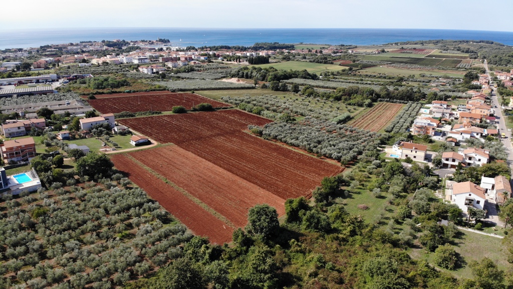 Immobiliare Istria, vendo terreno edificabile, Novigrad