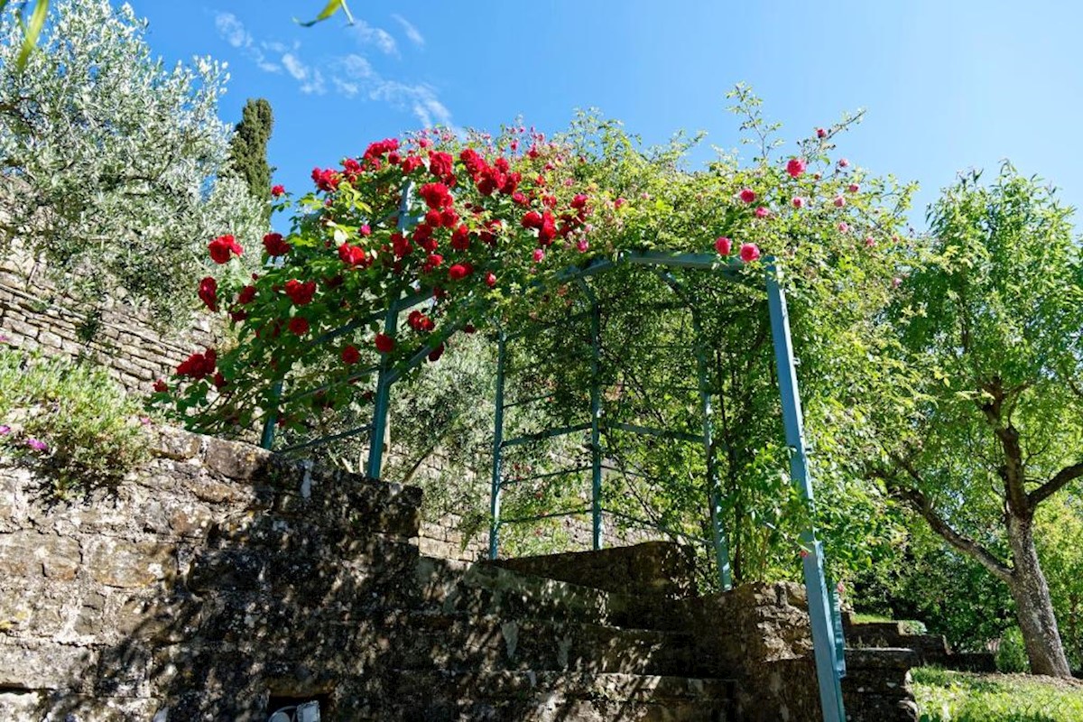 Immobili Istria, vendo casa, dintorni Buje-Buie