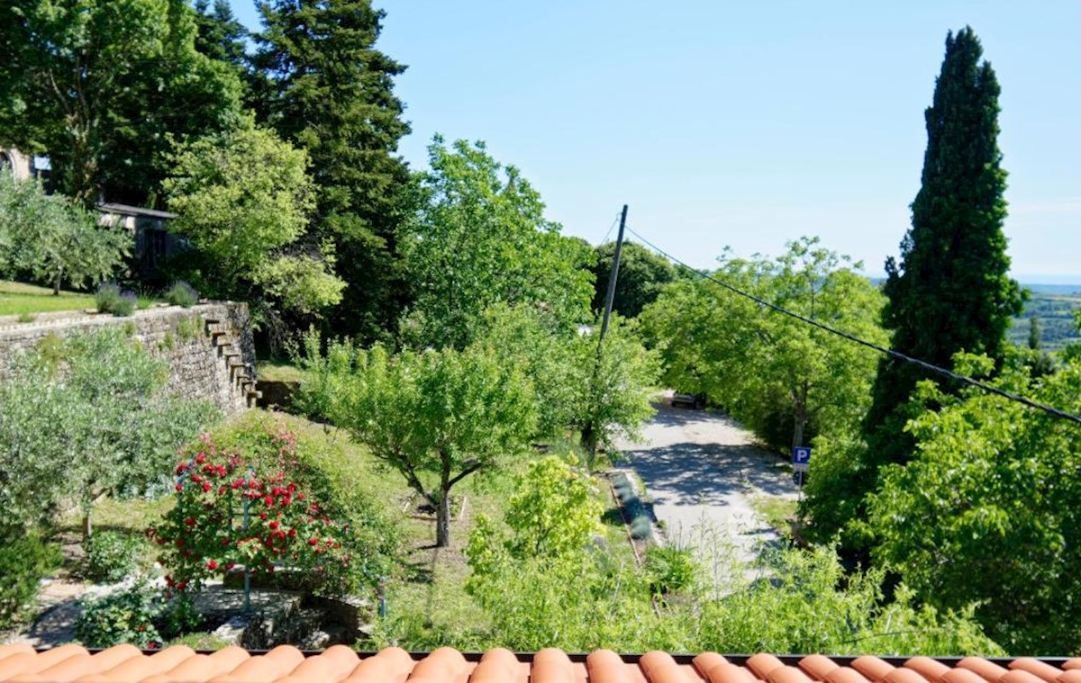 Immobili Istria, vendo casa, dintorni Buje-Buie