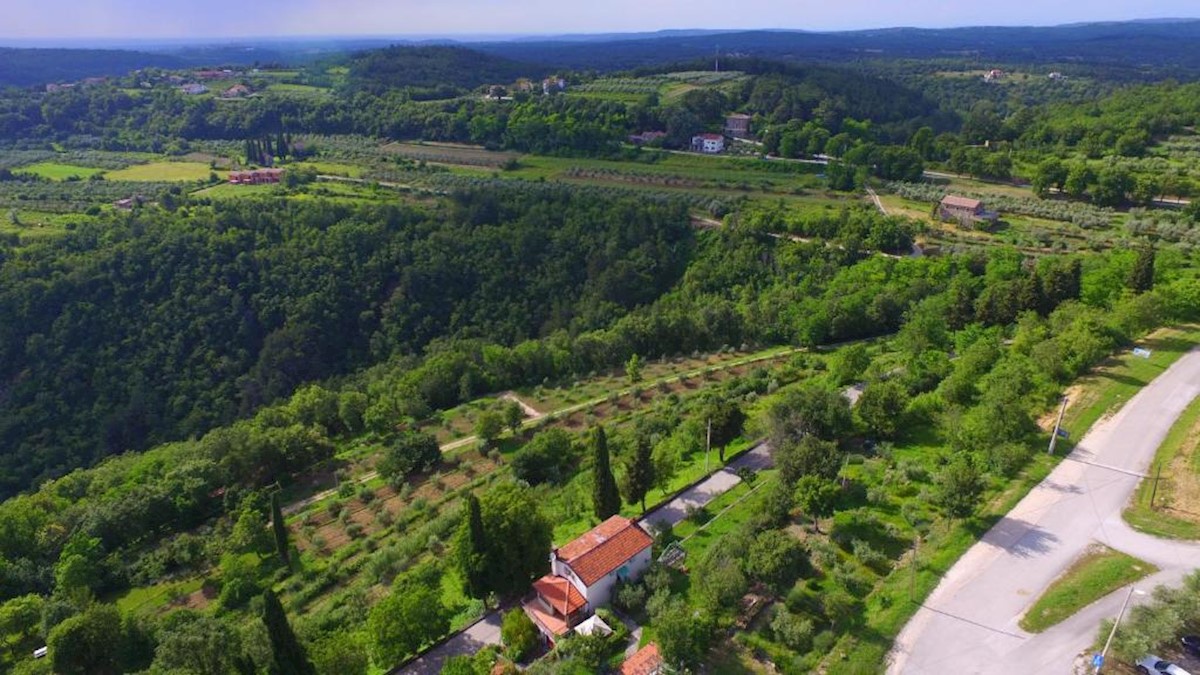 Immobili Istria, vendo casa, dintorni Buje-Buie