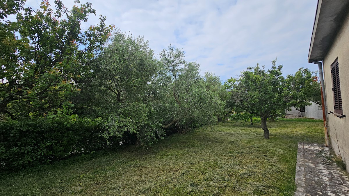 Immobili Istria, casa con bella vista e potenziale, Buje-Buie