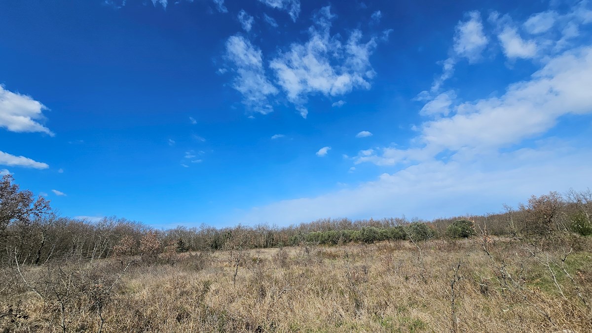 Immobiliare Istria, vendo terreno edificabile, dintorni Umago