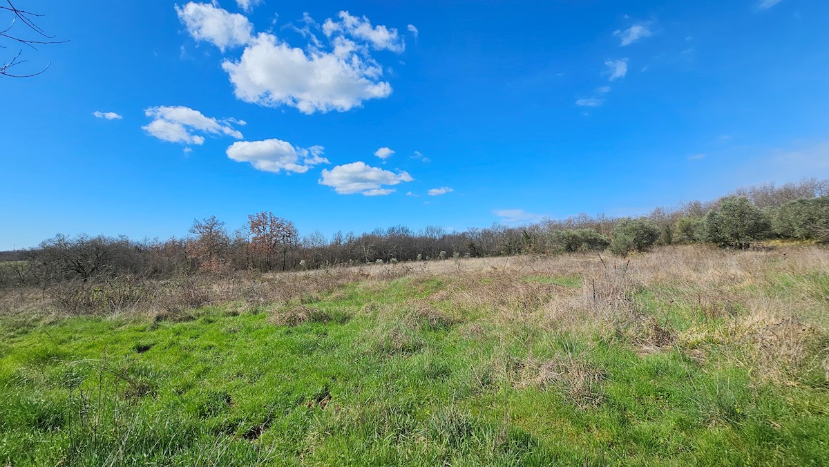 Immobiliare Istria, vendo terreno edificabile, dintorni Umago