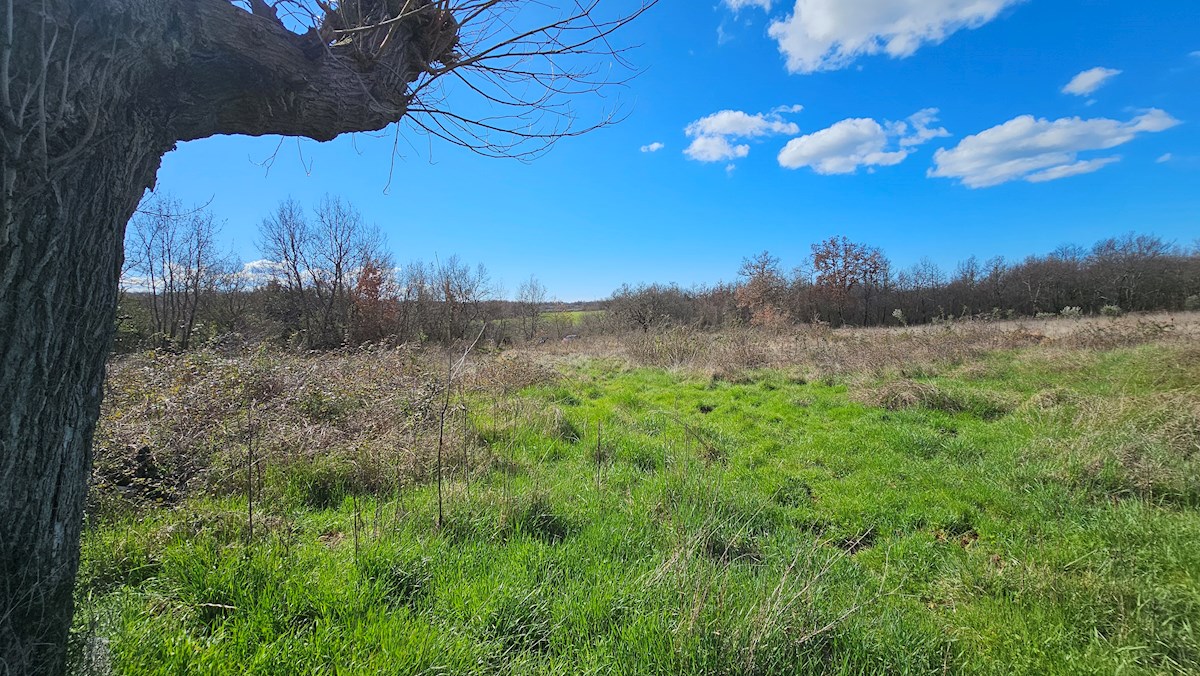 Immobiliare Istria, vendo terreno edificabile, dintorni Umago