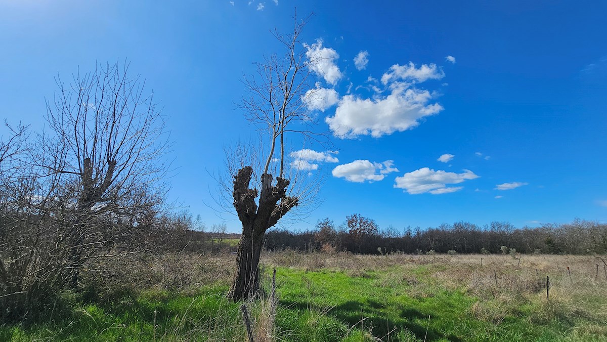 Immobiliare Istria, vendo terreno edificabile, dintorni Umago