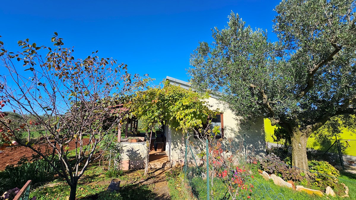 Terreno agricolo in vendita con edificio legalizzato – vicino a Novigrad, Istria