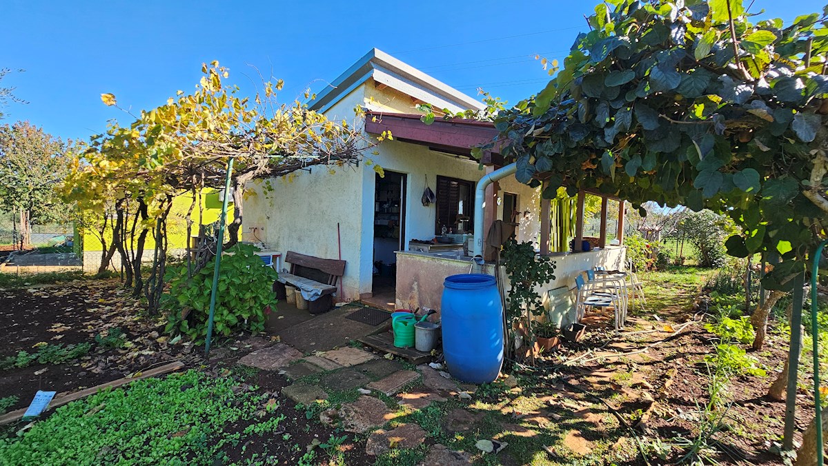 Terreno agricolo in vendita con edificio legalizzato – vicino a Novigrad, Istria