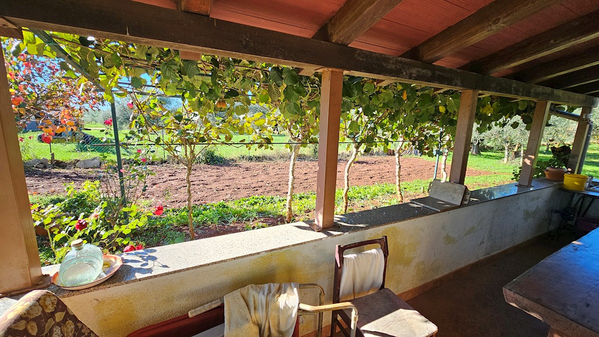 Terreno agricolo in vendita con edificio legalizzato – vicino a Novigrad, Istria