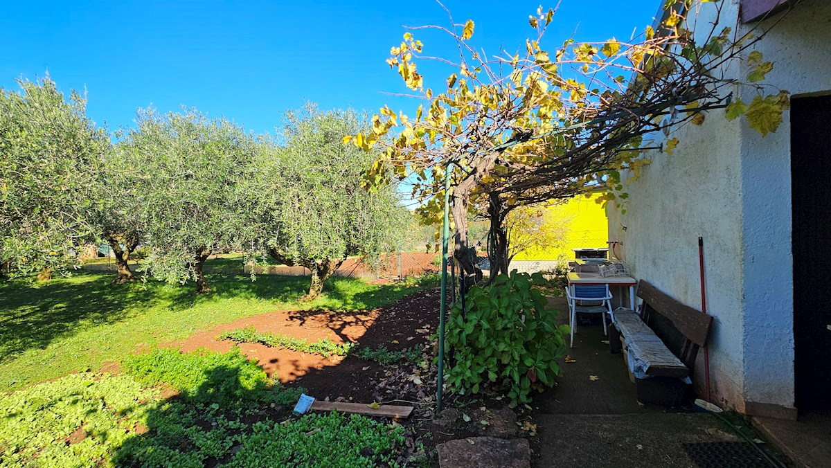 Terreno agricolo in vendita con edificio legalizzato – vicino a Novigrad, Istria