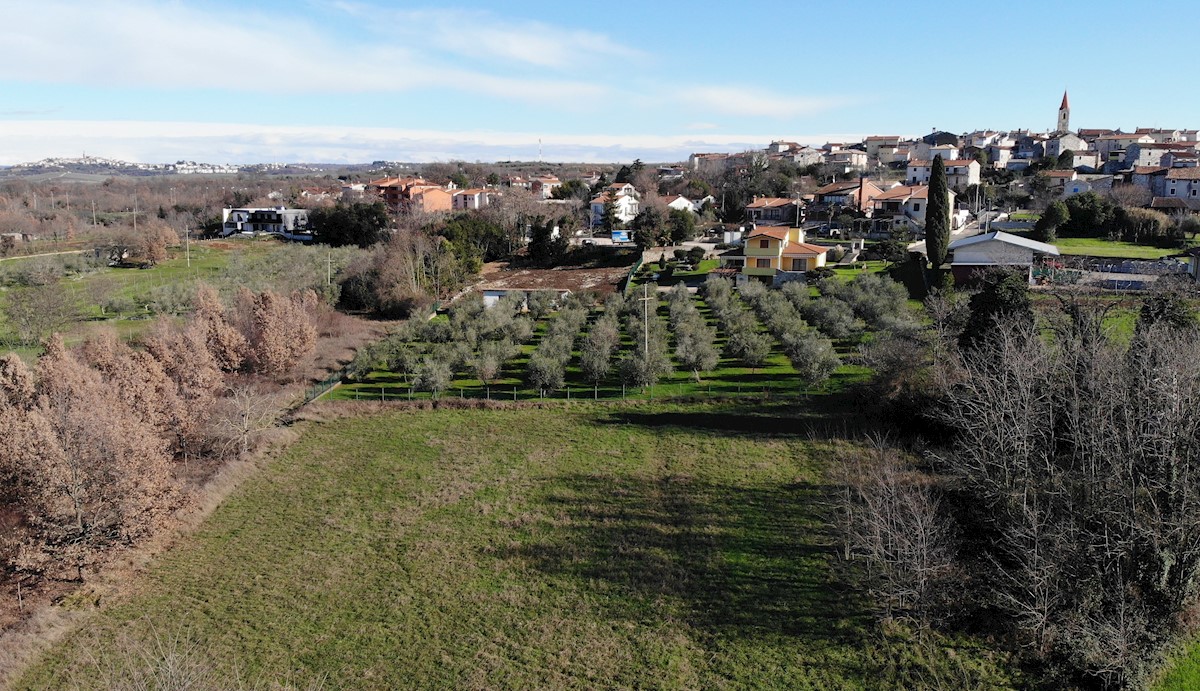 Immobiliare Istria, vendo terreno edificabile, dintorni Buje-Buie