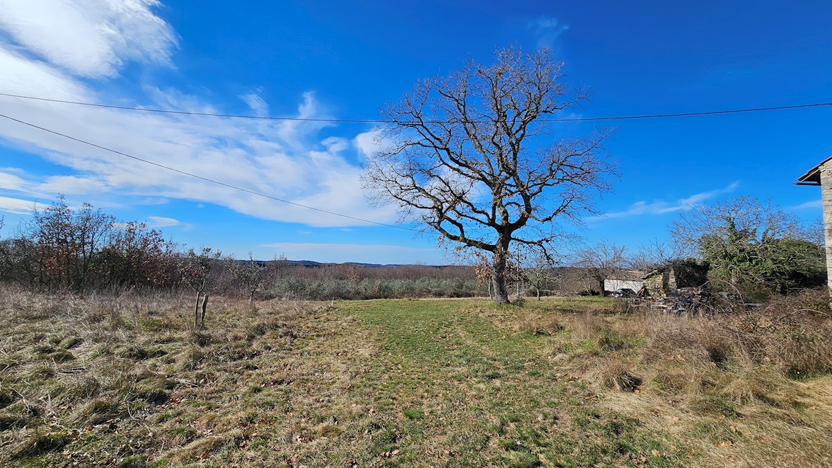 Immobili Istria, vendo casa di pietra, dintorni Buje-Buie