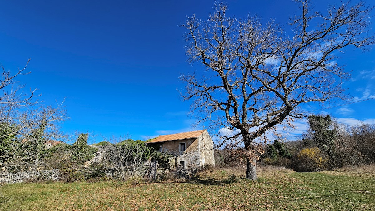 Immobili Istria, vendo casa di pietra, dintorni Buje-Buie