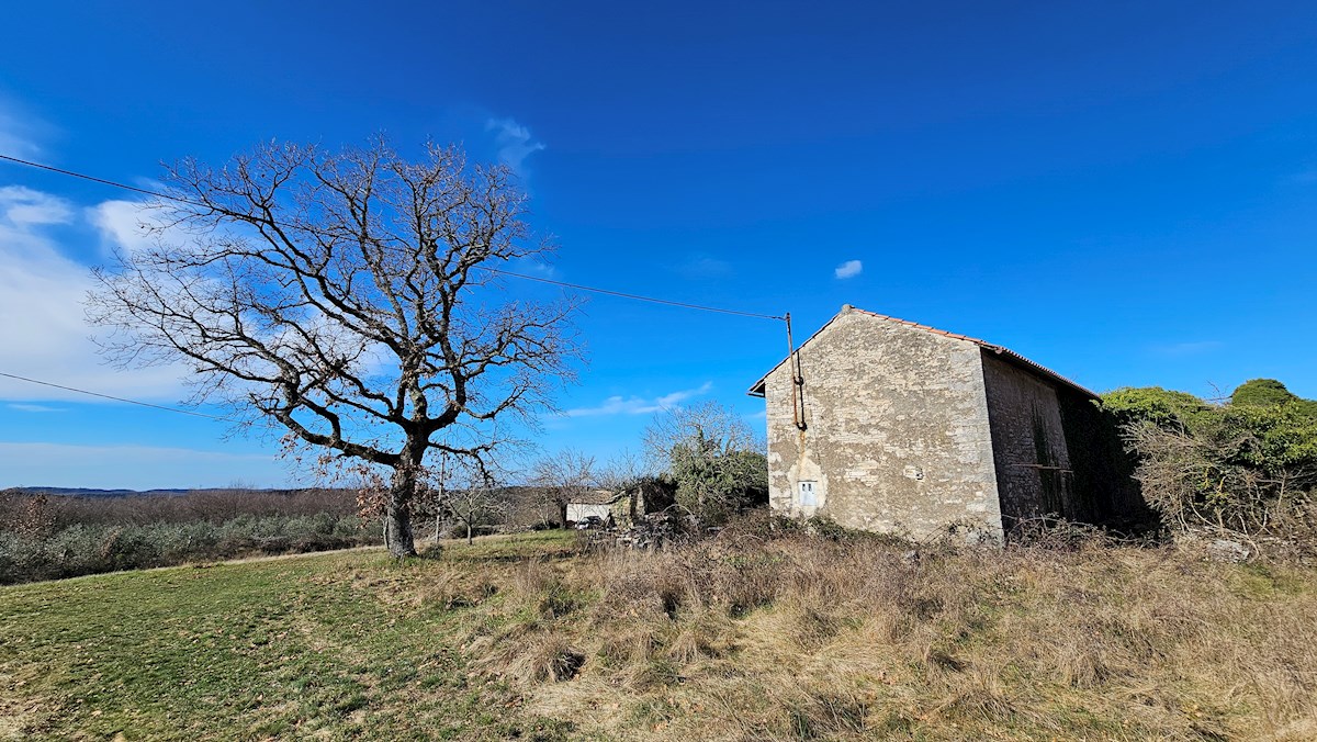 Immobili Istria, vendo casa di pietra, dintorni Buje-Buie