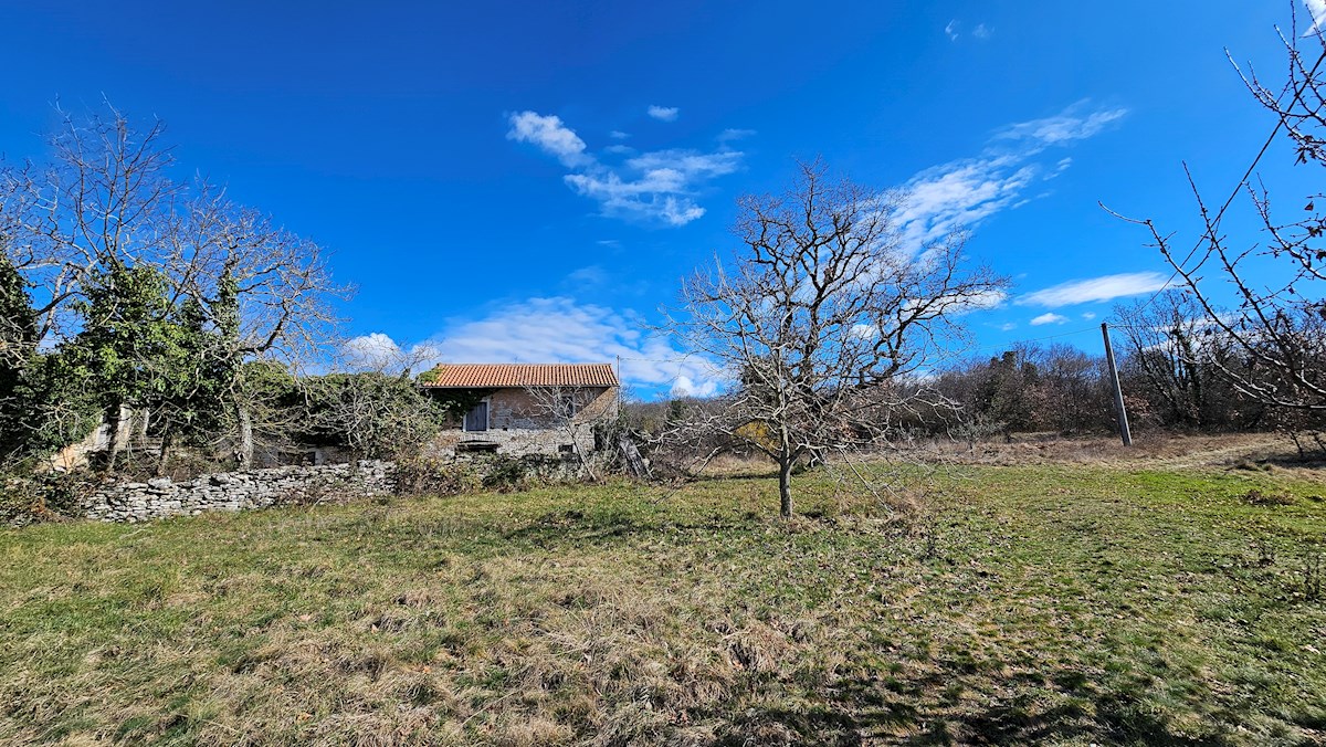 Immobili Istria, vendo casa di pietra, dintorni Buje-Buie