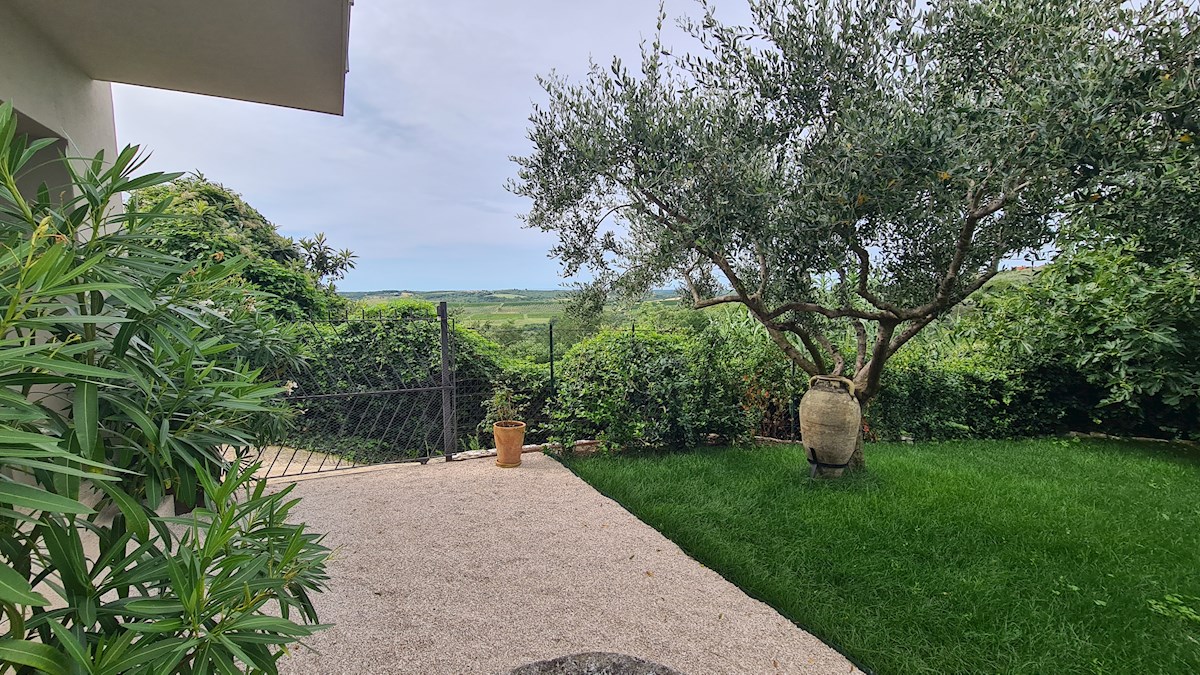 Immobili di lusso Istria, vendo casa di pietra, dintorni Buje-Buie