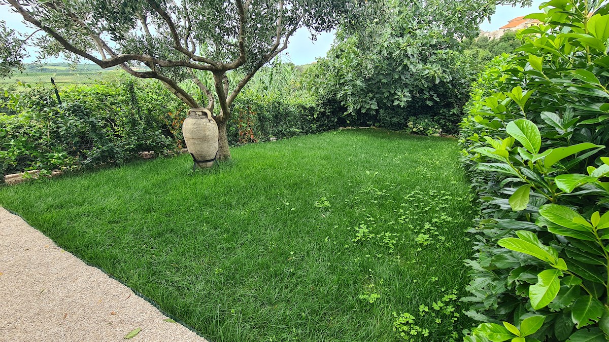 Immobili di lusso Istria, vendo casa di pietra, dintorni Buje-Buie