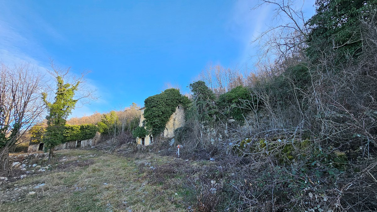 Immobili di lusso Istria, in vendita una grande tenuta con una casa in pietra, Labin