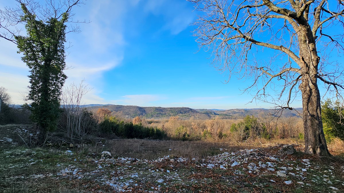Immobili di lusso Istria, in vendita una grande tenuta con una casa in pietra, Labin