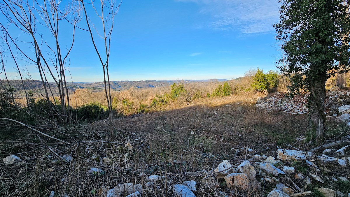 Immobili di lusso Istria, in vendita una grande tenuta con una casa in pietra, Labin