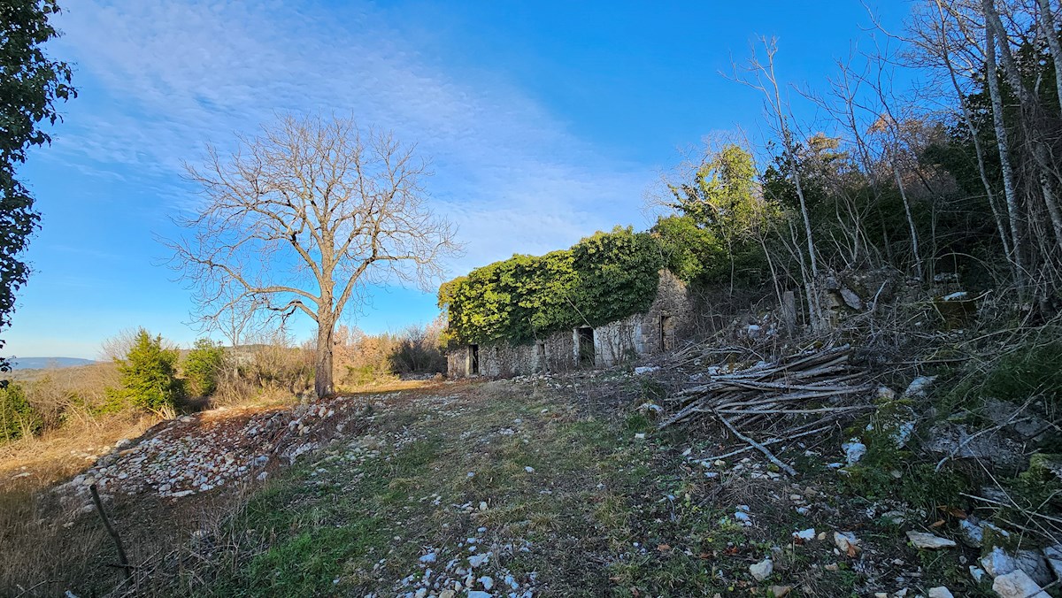 Immobili di lusso Istria, in vendita una grande tenuta con una casa in pietra, Labin