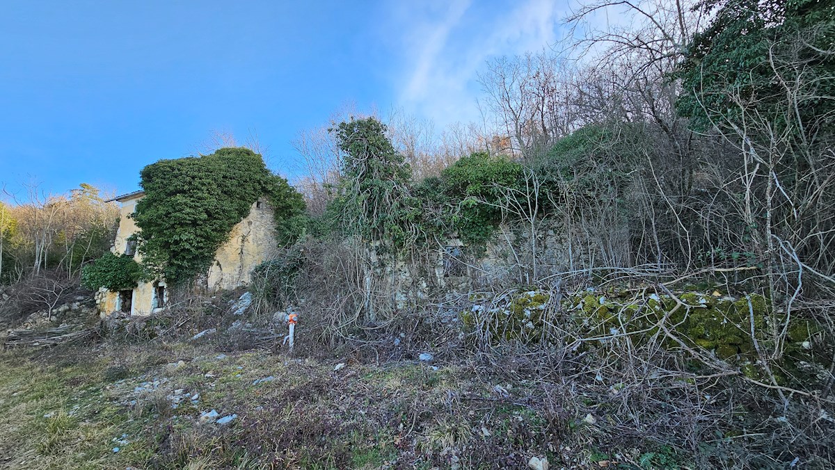 Immobili di lusso Istria, in vendita una grande tenuta con una casa in pietra, Labin