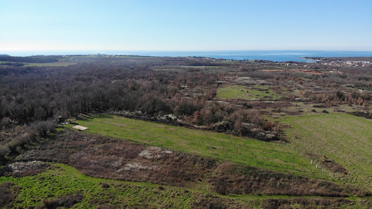 Immobili Istria, vendo terreno agricolo, dintorni Novigrad-Cittanova