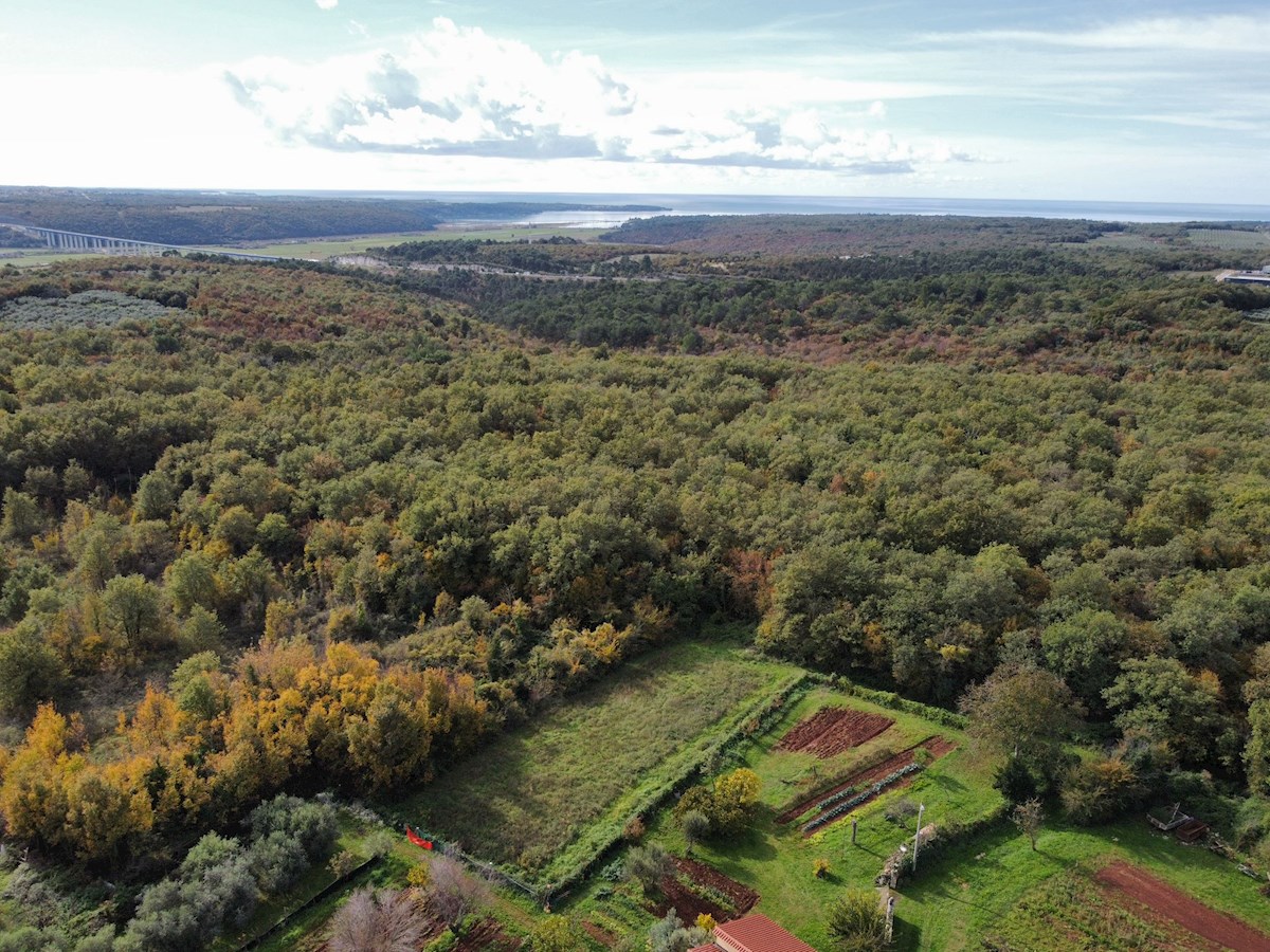 Immobiliare Istria, vendo terreno edificabile, Novigrad, dintorni