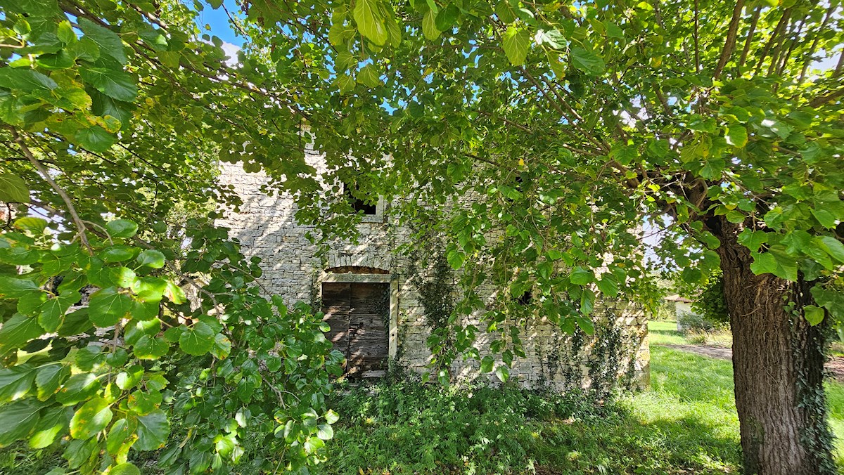 Autentica Stanzia Istriana con Due Case in Pietra e Vista sulla Natura