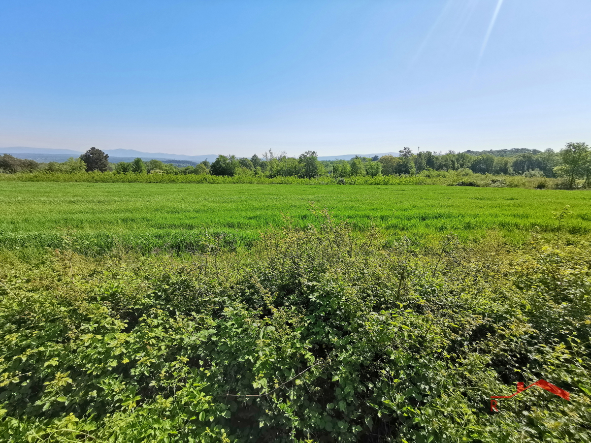 Barban, terreno edificabile nella zona industriale