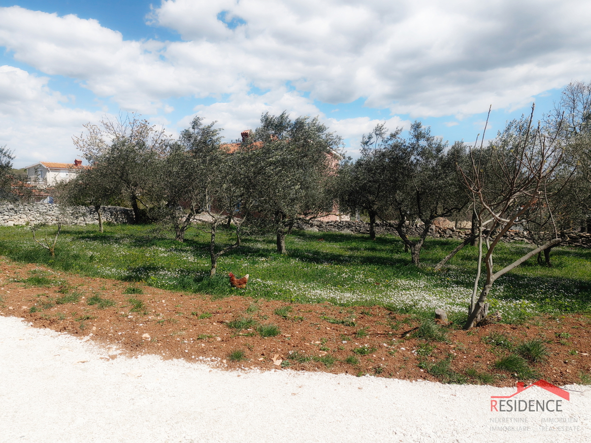 Dinjan-dintorni, bel terreno edificabile